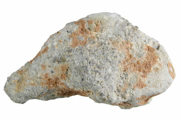 Lunar Meteorite ( g) - Bechar #360414
